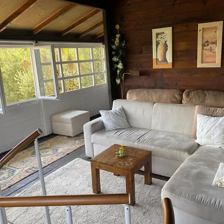 Дом отдыха Casa Pino Mit Eingezaeuntem Garten In Ligurien Zur Alleinnutzung Borghetto d'Arroscia