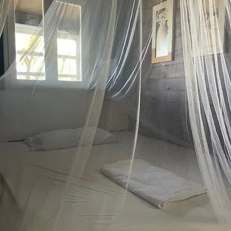 Дом отдыха Casa Pino Mit Eingezaeuntem Garten In Ligurien Zur Alleinnutzung *