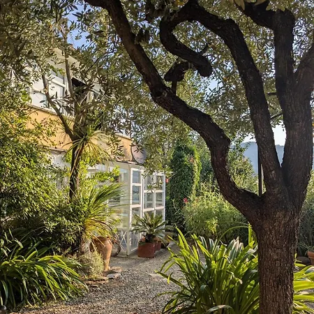 Casa Pino Mit Eingezaeuntem Garten In Ligurien Zur Alleinnutzung