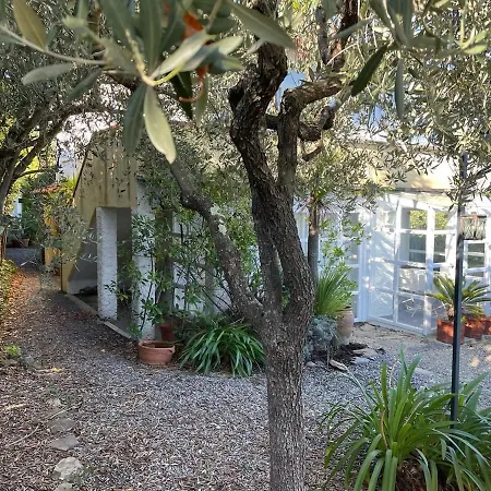 Casa Pino Mit Eingezaeuntem Garten In Ligurien Zur Alleinnutzung Borghetto d'Arroscia