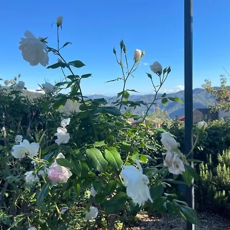 Casa Pino Mit Eingezaeuntem Garten In Ligurien Zur Alleinnutzung Borghetto d'Arroscia