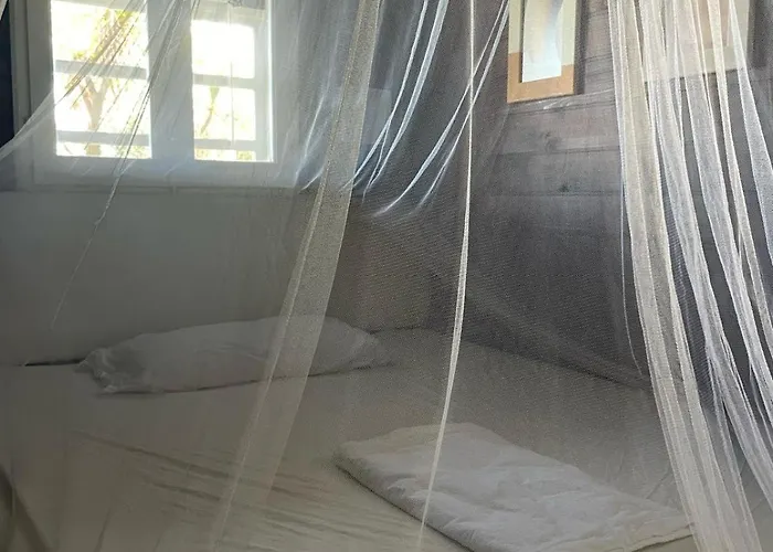 Feriehus Casa Pino Mit Eingezaeuntem Garten In Ligurien Zur Alleinnutzung *