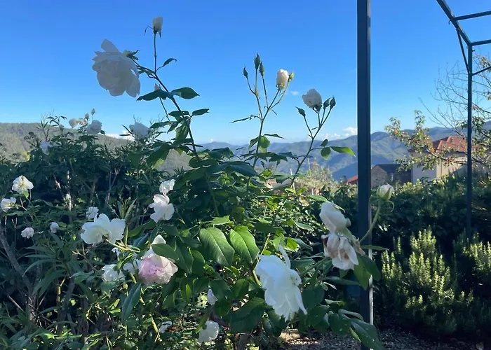 Casa Pino Mit Eingezaeuntem Garten In Ligurien Zur Alleinnutzung Borghetto d'Arroscia